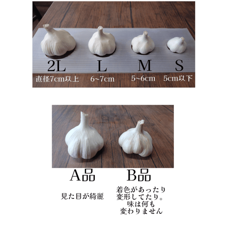 青森県産にんにく　Aランク　Ｌサイズ