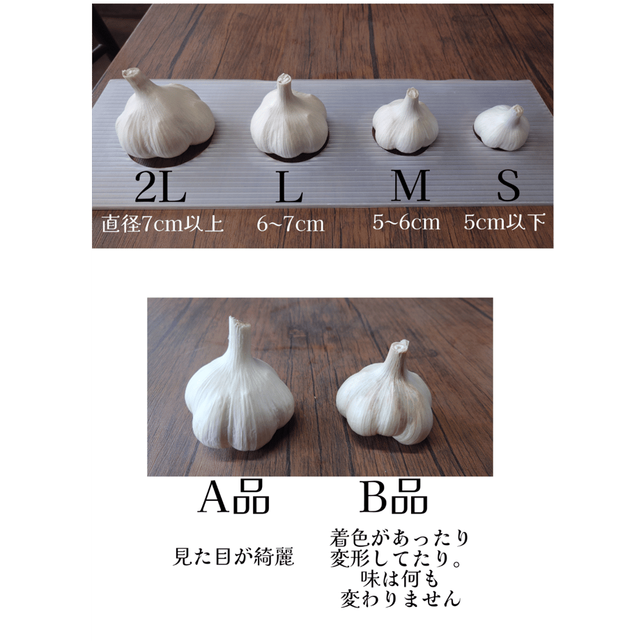 6749bcc281cb290855c7b77b