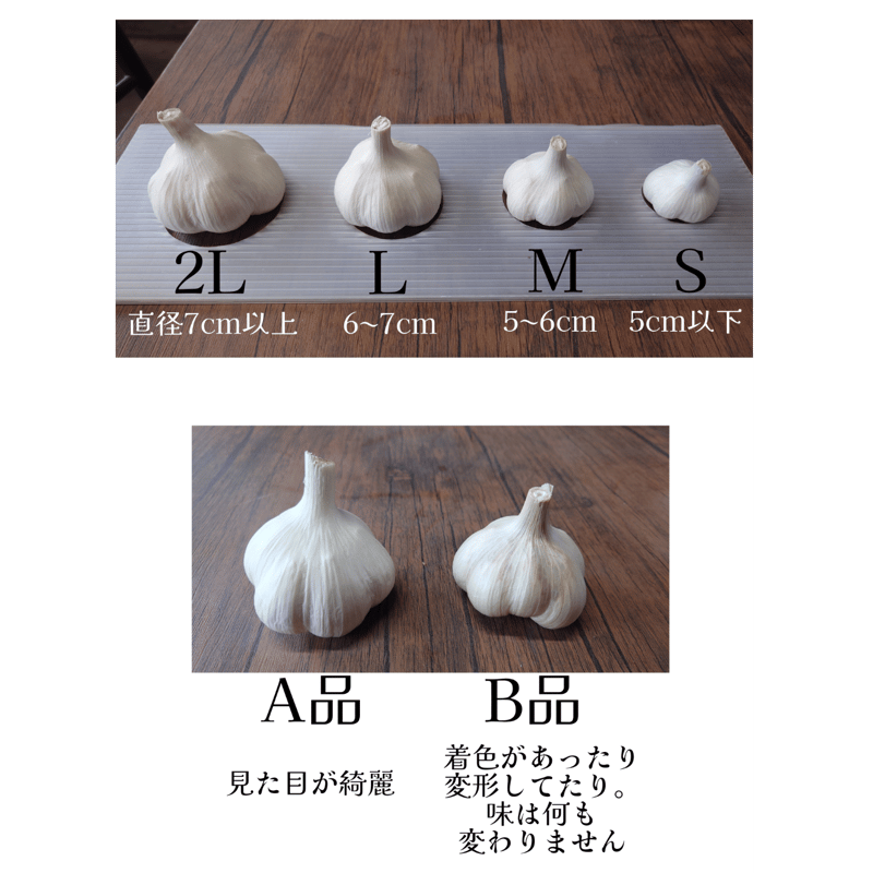 青森県産にんにく Bランク Lサイズ | とみえれふぁーむ
