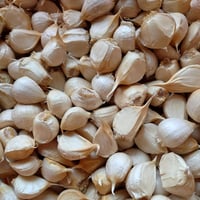青森県産にんにく　訳ありバラ　1kg