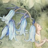 Following the Starlight