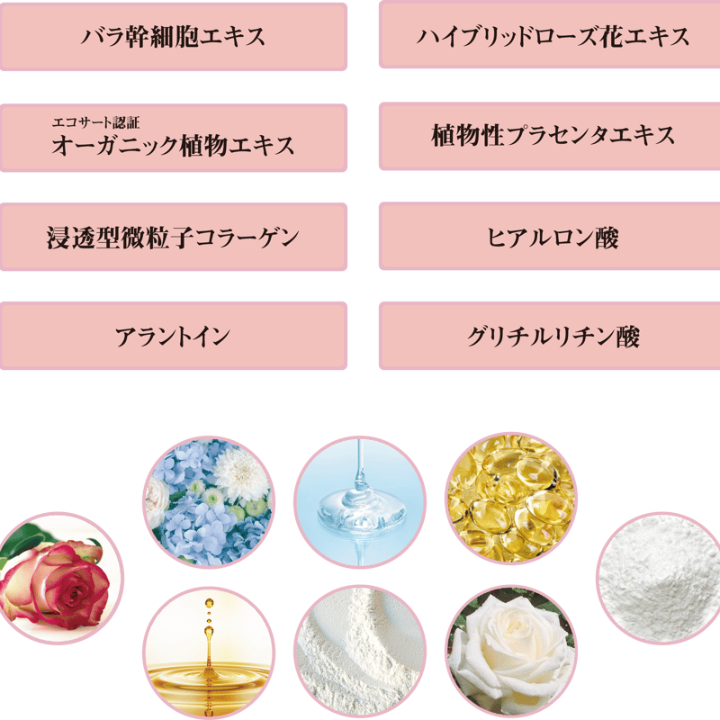 うるツヤ肌を育てるプロユース化粧品】エステクオリティ リッチクリア