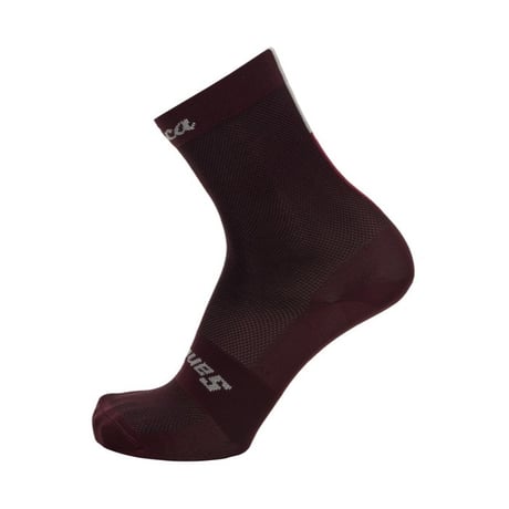 サンティーニ　EROICA QUIETE - SOCKS BORDEAUX