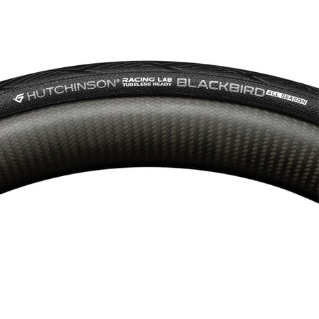ハッチンソン　ブラックバード オールシーズン チューブレスレディ