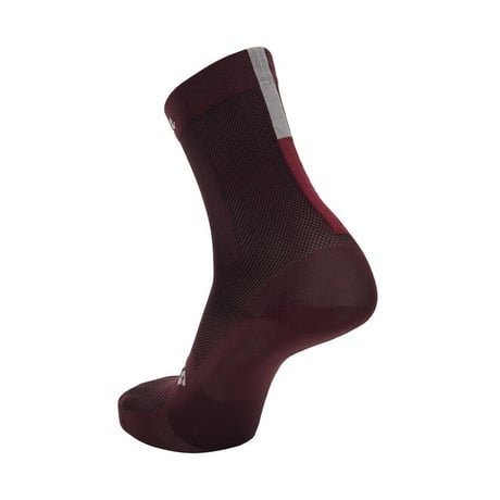 サンティーニ　EROICA QUIETE - SOCKS BORDEAUX