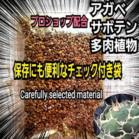 PーPlants