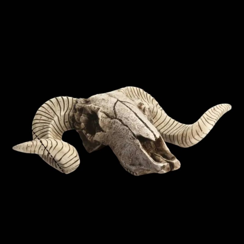 スカルホーン ヤギの頭蓋骨 壁掛け、置物にカッコいいです！ネイティブ