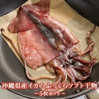 【ふるさと納税】イカ 干物 5枚セット 約700g