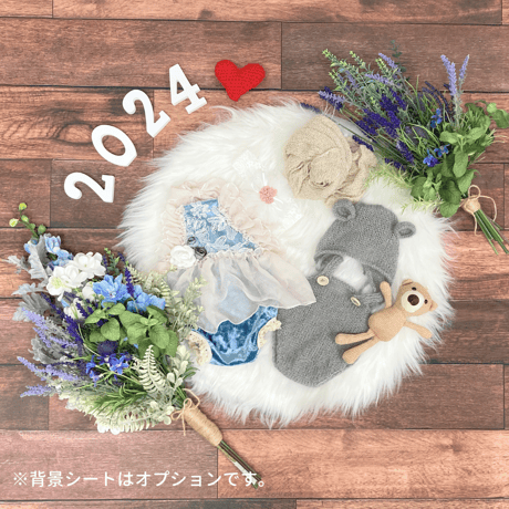 【シンプルプラン】シルバーブルー