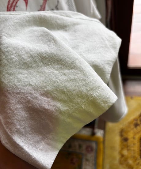 Hanes 90s プリント T