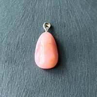聖光の残響 ✨ オパールローズ ✨ 大天使アリエルの花ひらく大地