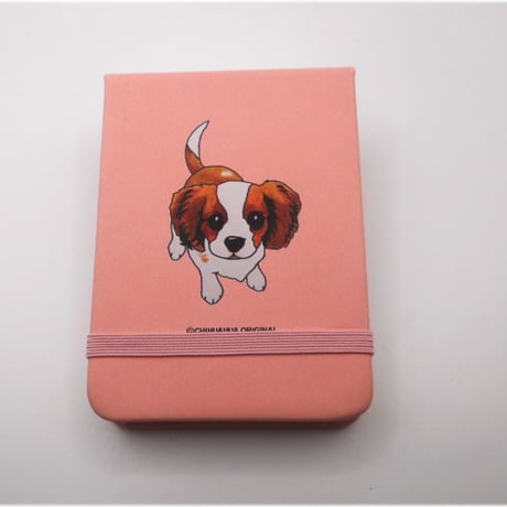 オーダーページ パネル キャバリア にくかっ 7/19 