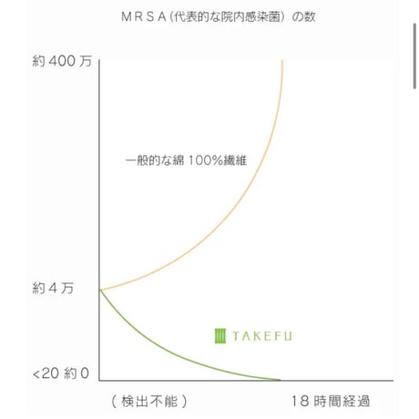 TAKEFU 毛布kurumu