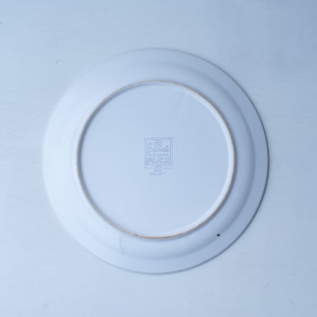 Galaxy Stoneware Plate