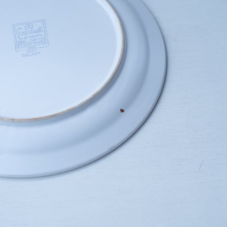 Galaxy Stoneware Plate