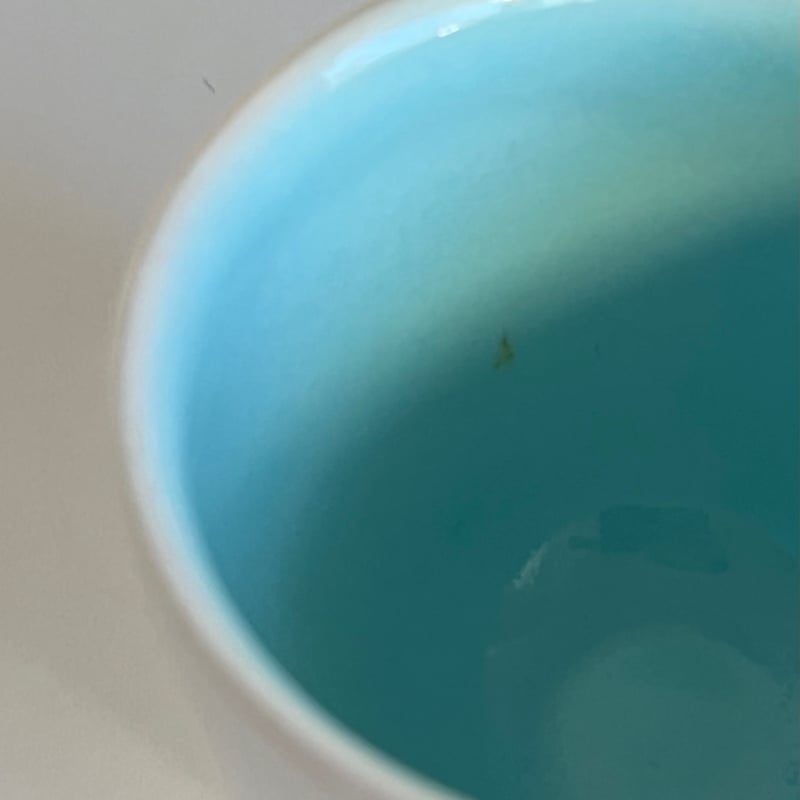 お猪口 白と水色 | hara pottery haus