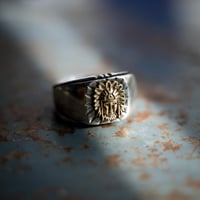 【受注】R-001BNative.D (Brass Ver.)