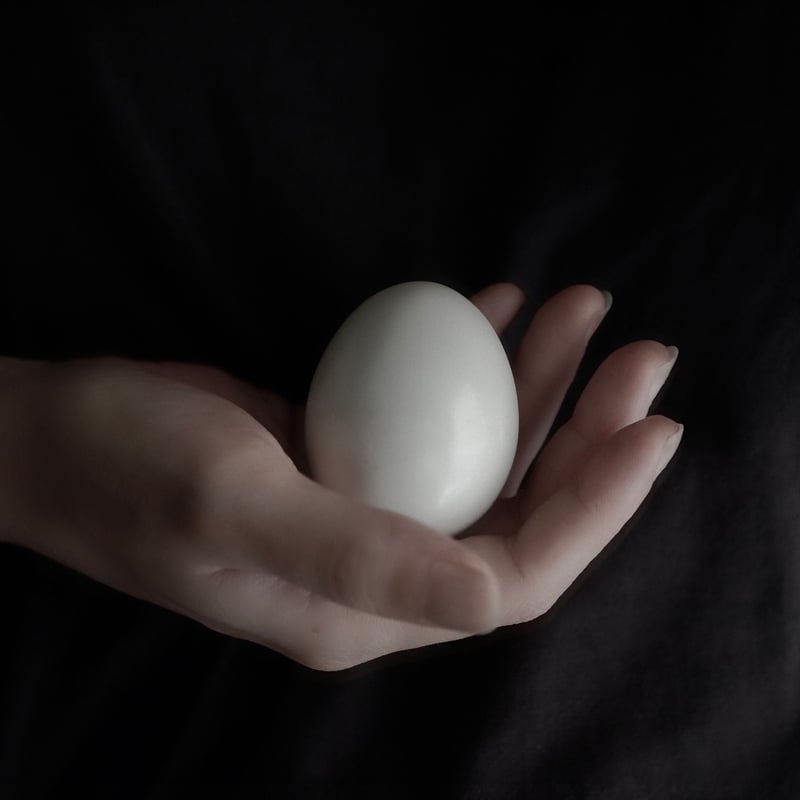 白磁器のたまご | 八画