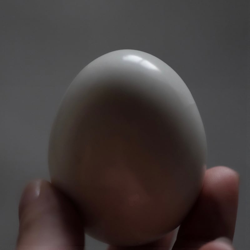 白磁器のたまご | 八画
