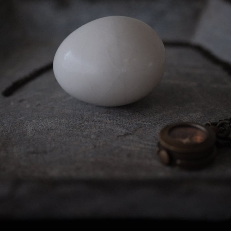 白磁器のたまご | 八画