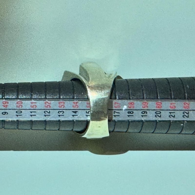 HARLEY-DAVIDSON/ヴィンテージリング | DUCK TIGER