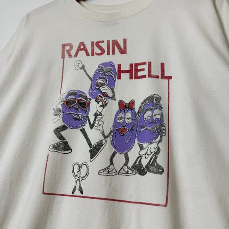 THE CALIFORNIA RAISINS