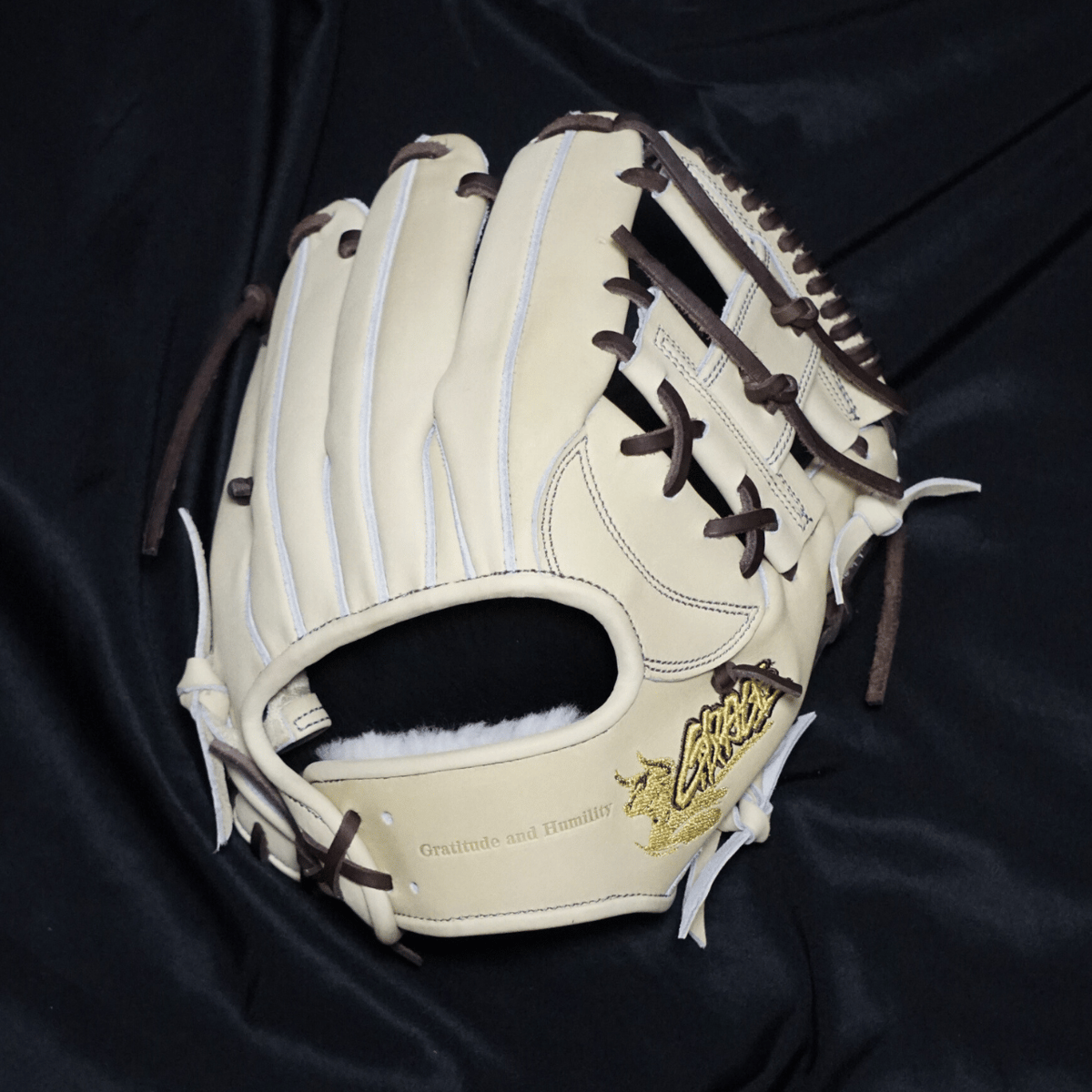 R-GRACE 041 硬式用グローブ 黒 レザー袋付き