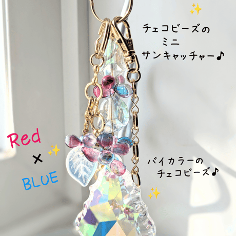 ミニサンキャッチャー | STORES