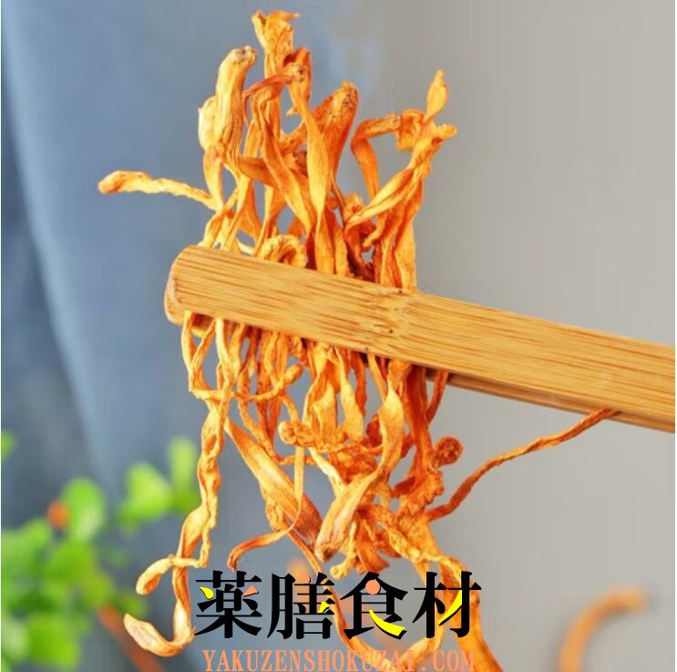 長白山 北金蛹虫草 冬虫夏草(トウチュウカソウ)、冬蟲夏草（とうちゅう