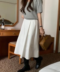 bagel pin tuck skirt