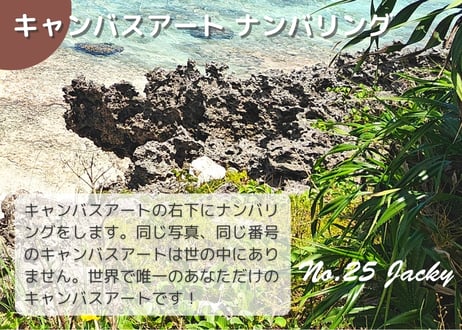【一点のみ限定生産 No.25 キャンバスアート】99%が知らない！ウチシ海岸！