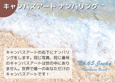 【一点のみ限定生産 No.65 キャンバスアート】誰もいないレア！黒花海岸