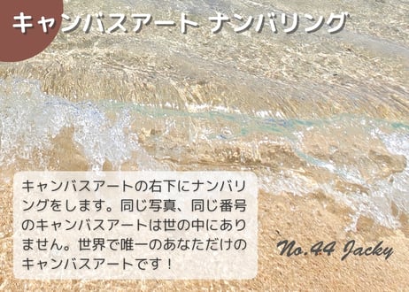【一点のみ限定生産 No.44 キャンバスアート】絶景穴場！タティダラビーチ
