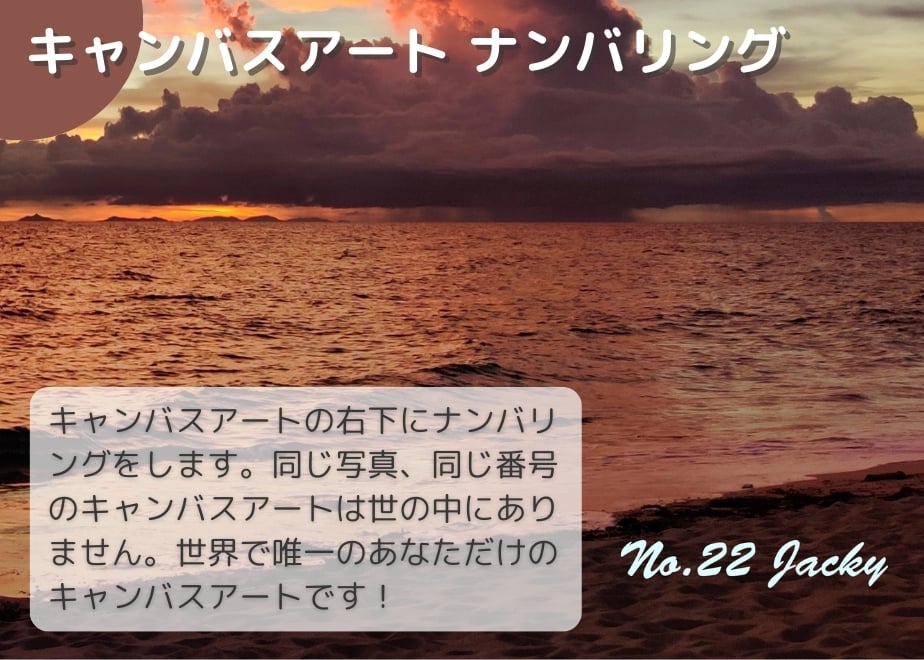 66bc9817243a75003100dbb4