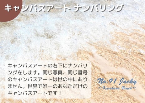 【一点のみ限定生産 No.91 キャンバスアート】2025年7月撮りおろし 黒花海岸