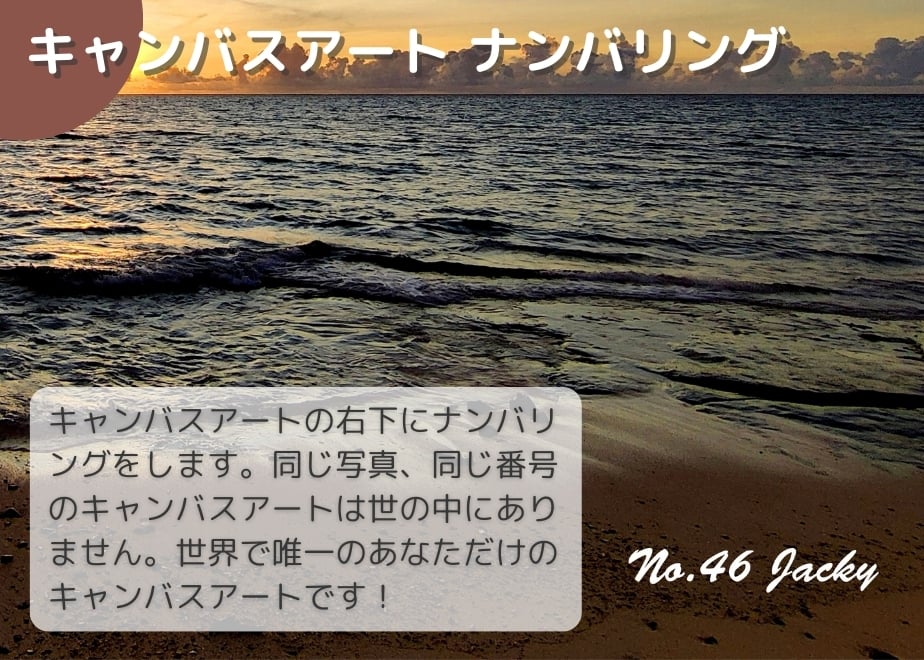 6703f0f4f90f2009a0b9919a