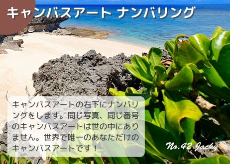 【一点のみ限定生産 No.42 キャンバスアート】穴場ビーチ！シューダキ海岸