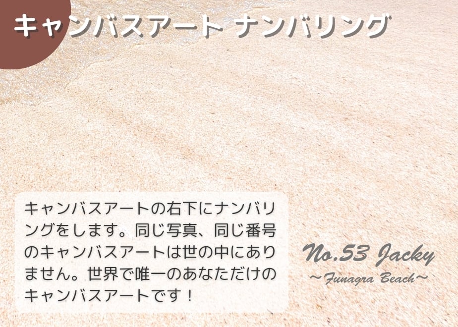 6737a4e7edfbca13e0a630ae