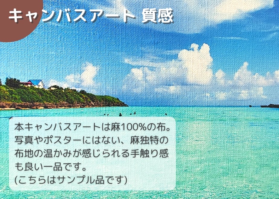 667fab9a380c3d24d1e80f19