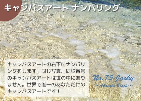 【一点のみ限定生産 No.75 キャンバスアート】有名ビーチ！赤崎海岸