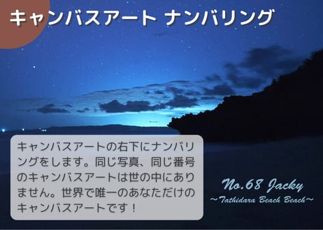【一点のみ限定生産 No.68 キャンバスアート】初の星空！タティダラビーチ