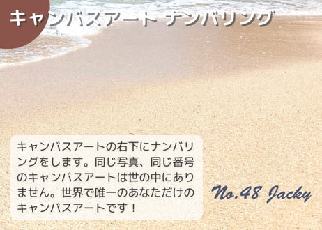 【一点のみ限定生産 No.48 キャンバスアート】超穴場ビーチ！パマガマ海岸