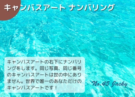 【一点のみ限定生産 No.45 キャンバスアート】完全無敵！ヨロンブルー！