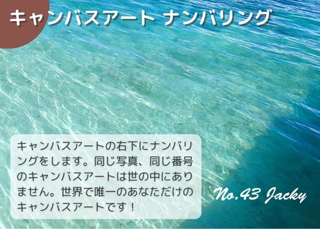 【一点のみ限定生産 No.43 キャンバスアート】マリンスポーツの聖地！皆田海岸