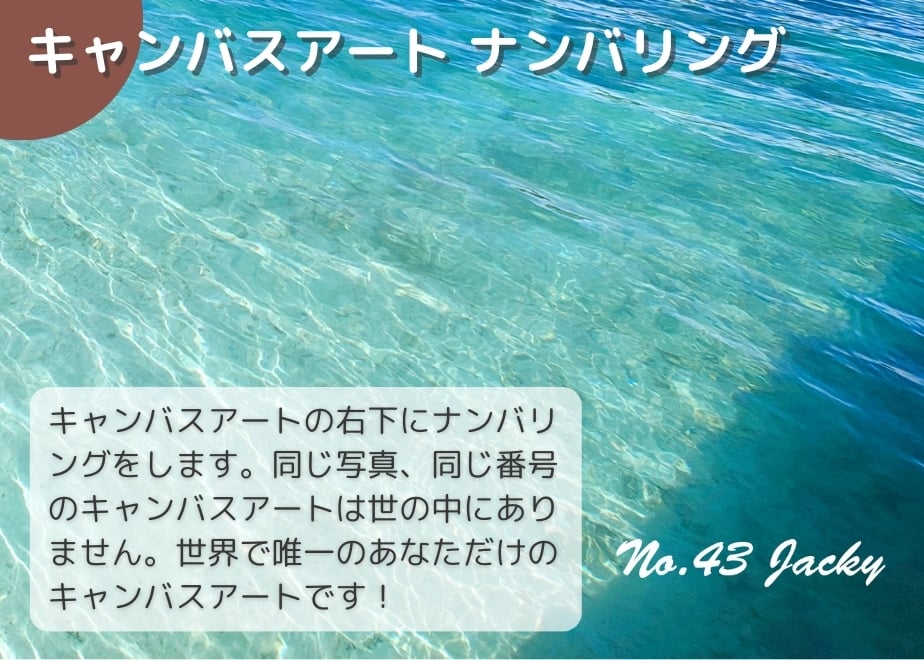 6703e2d74b9bca0af2c7ab43