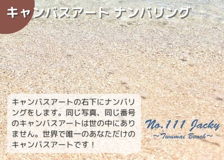 【一点のみ限定生産 No.117 キャンバスアート】映画「めがね」のロケ地！寺崎海岸/トゥマイビーチ！