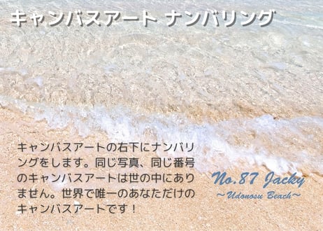 【一点のみ限定生産 No.87 キャンバスアート】2025年撮り下ろし！ウドノスビーチ！