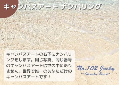【一点のみ限定生産 No.102 キャンバスアート】2025年8月撮りおろし 品覇海岸