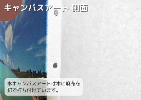 【一点のみ限定生産 No.108 キャンバスアート】ウドノスビーチの絶景夕日  のコピー