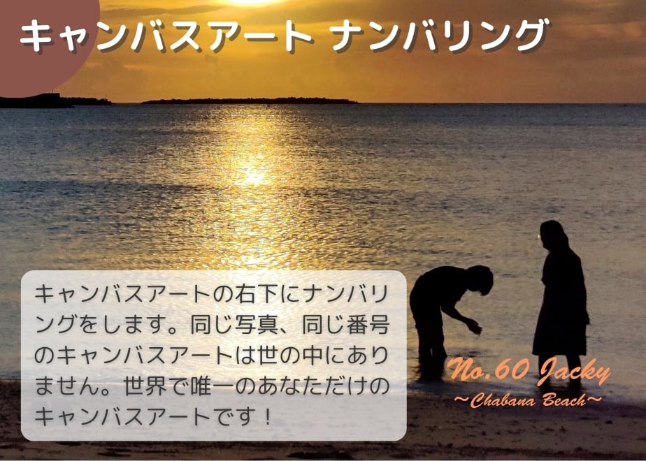 6747b05dccd49a229f4e0b5e